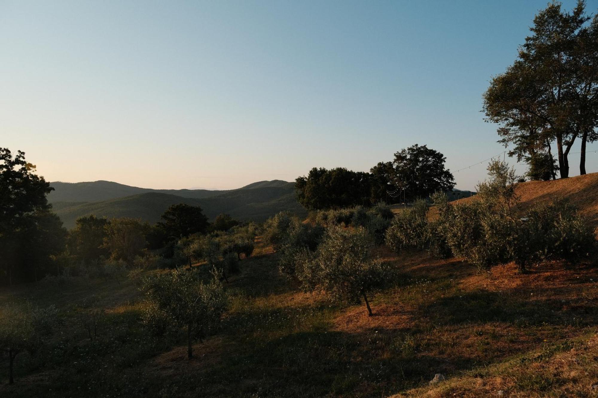 Vin Hotel - Wine Resort And Agriturismo Montieri ภายนอก รูปภาพ